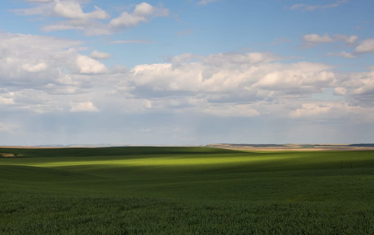 Where Focused AI Adoption Wins